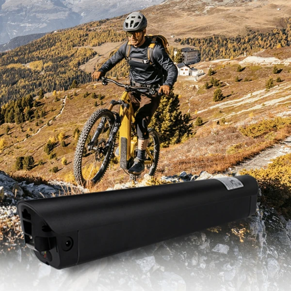 E-Bike Battery